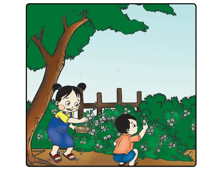 Little Jasmine Flowers (Poem)