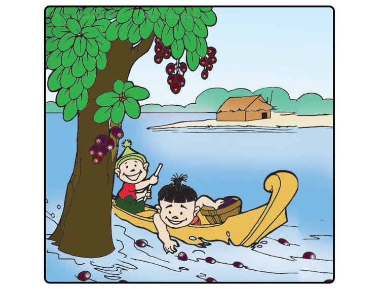 Picking Apricots (Poem)