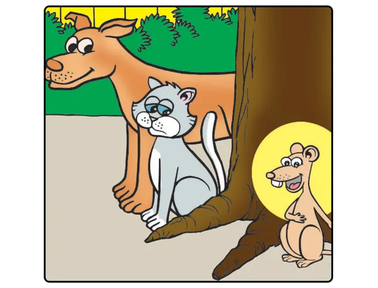 Cat and Mouse (Story)