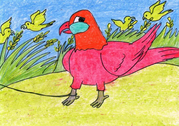 16.Kaydara the Parakeet King