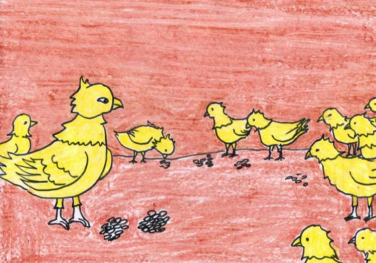 17.Ninety-Thousand Hintha Birds and a Spider