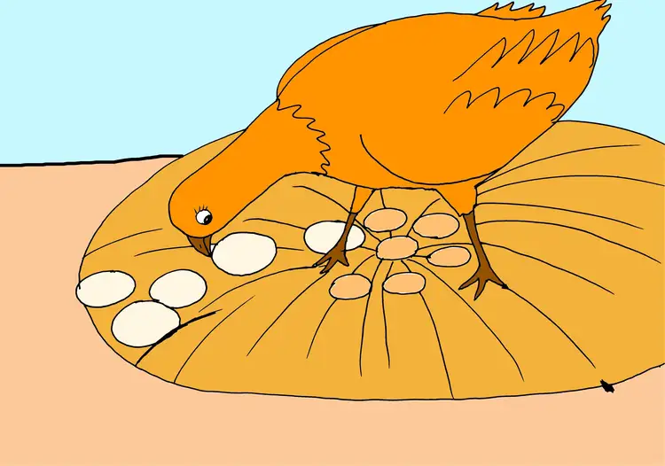 ၂၀။ ကြက်မေမေ နှင့် ဘဲကလေးများ