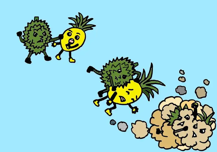 ၃၀။ နာနတ်သီး နှင့် ဒူးရင်းသီး