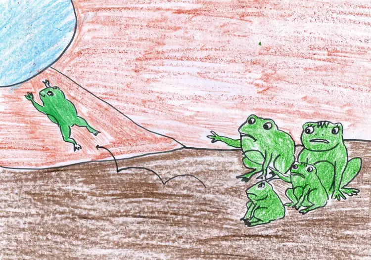 ၃၃။ ဖားမိသားစု