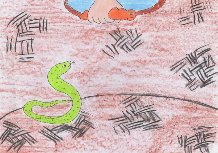 ၃၉။ မြွေ မိသားစု