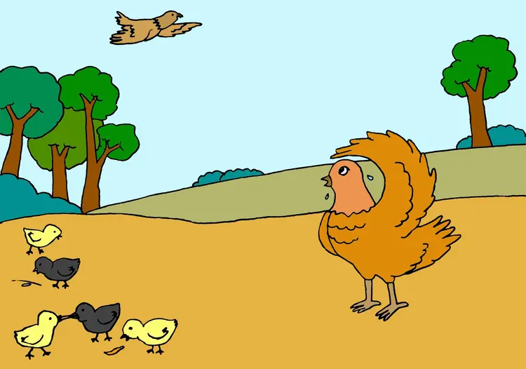 ၄၉။ ကြက်မိခင်၏သံယောဇဉ်